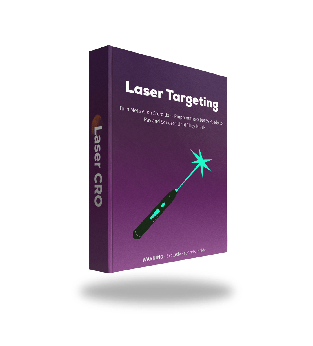 Laser Targeting